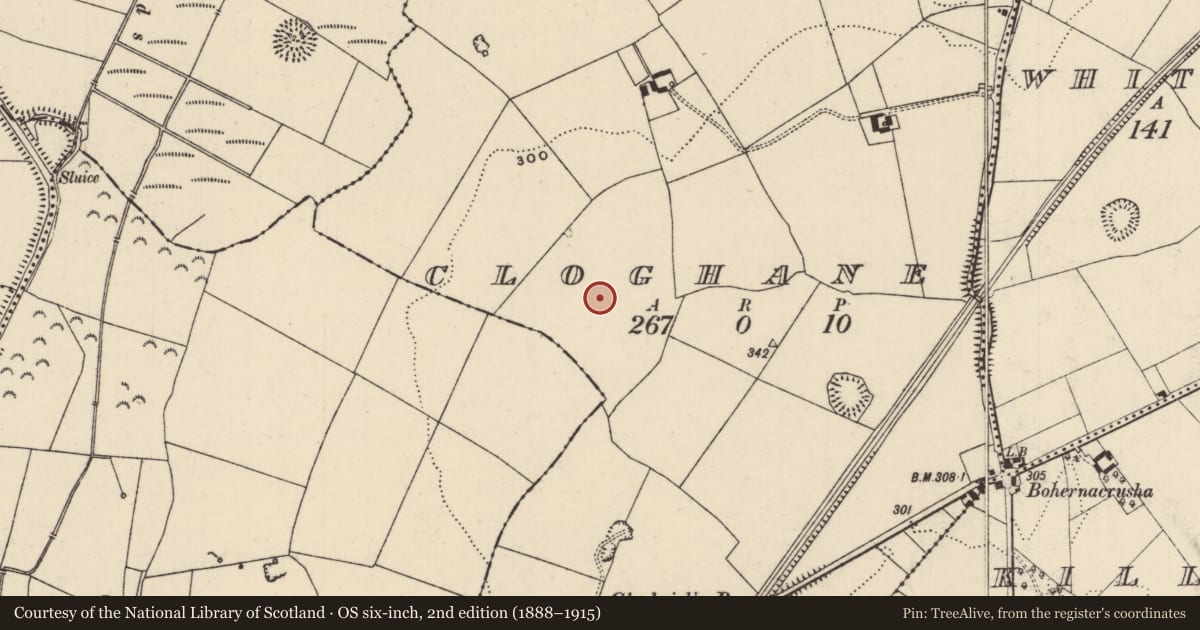 Ordnance Survey six-inch map, 2nd edition (1888–1915) covering the location of Ringfort - rath, Cloghane, County Tipperary North, with a pin at the register's coordinates