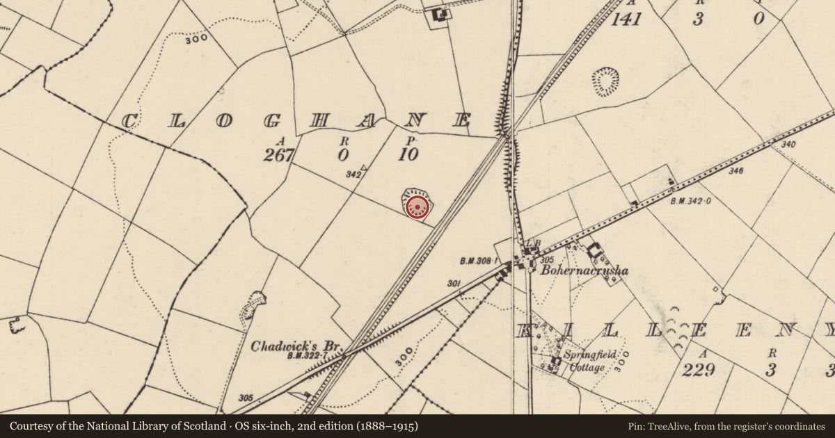 Ordnance Survey six-inch map, 2nd edition (1888–1915) covering the location of Ringfort - rath, Cloghane, County Tipperary North, with a pin at the register's coordinates