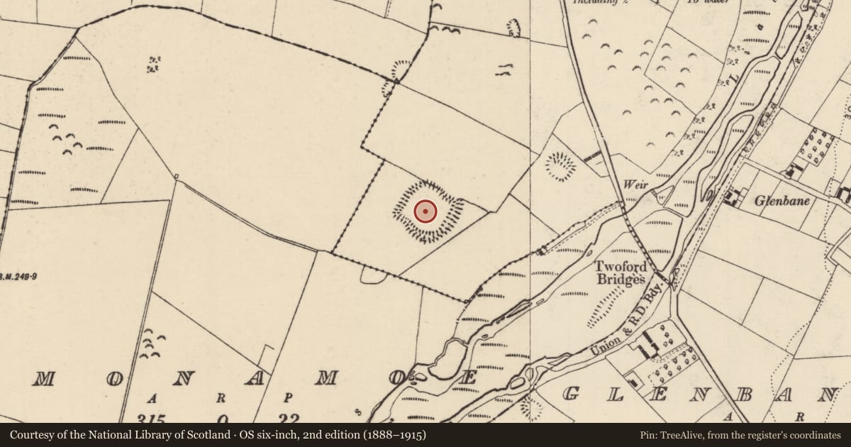 Ordnance Survey six-inch map, 2nd edition (1888–1915) covering the location of Moated site, Newtown (Holycross Par.), County Tipperary North, with a pin at the register's coordinates