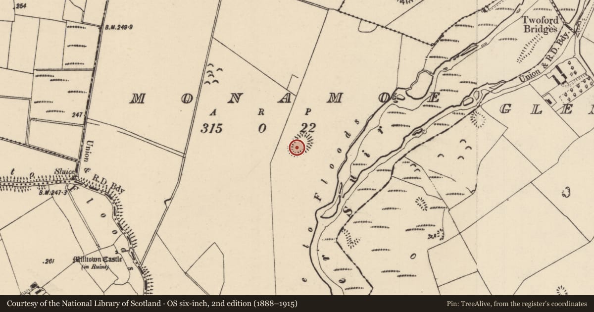 Ordnance Survey six-inch map, 2nd edition (1888–1915) covering the location of Ringfort - rath, Monamoe, County Tipperary North, with a pin at the register's coordinates