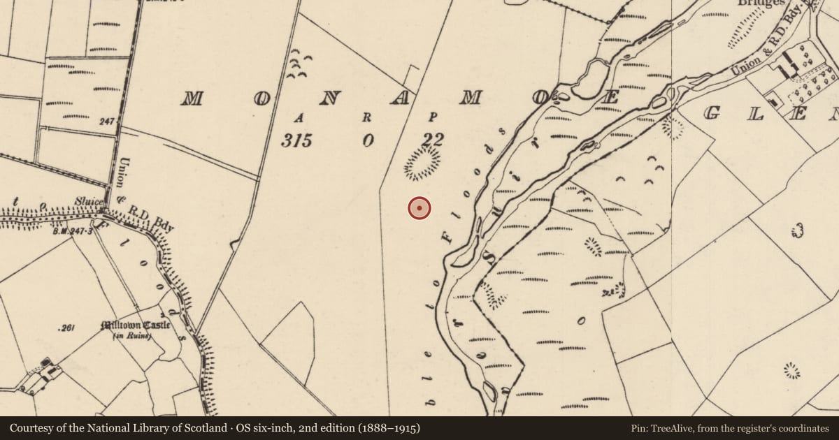 Ordnance Survey six-inch map, 2nd edition (1888–1915) covering the location of Ringfort - rath, Monamoe, County Tipperary North, with a pin at the register's coordinates