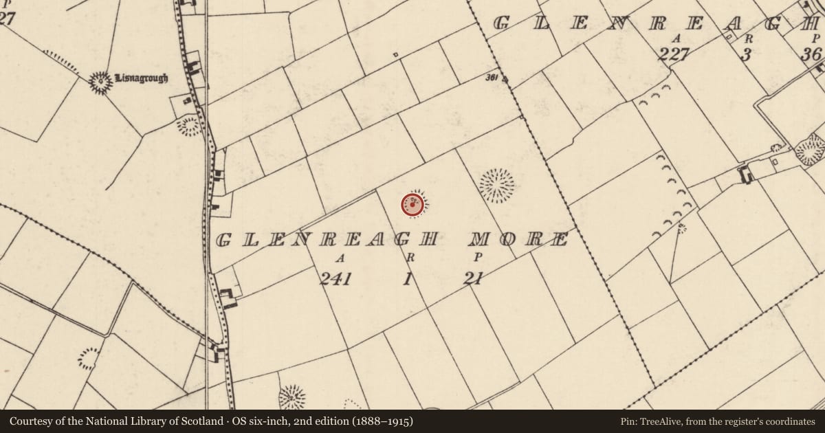 Ordnance Survey six-inch map, 2nd edition (1888–1915) covering the location of Ringfort - rath, Glenreagh More, County Tipperary North, with a pin at the register's coordinates