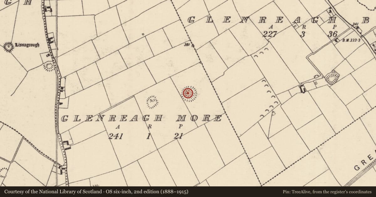Ordnance Survey six-inch map, 2nd edition (1888–1915) covering the location of Ringfort - rath, Glenreagh More, County Tipperary North, with a pin at the register's coordinates