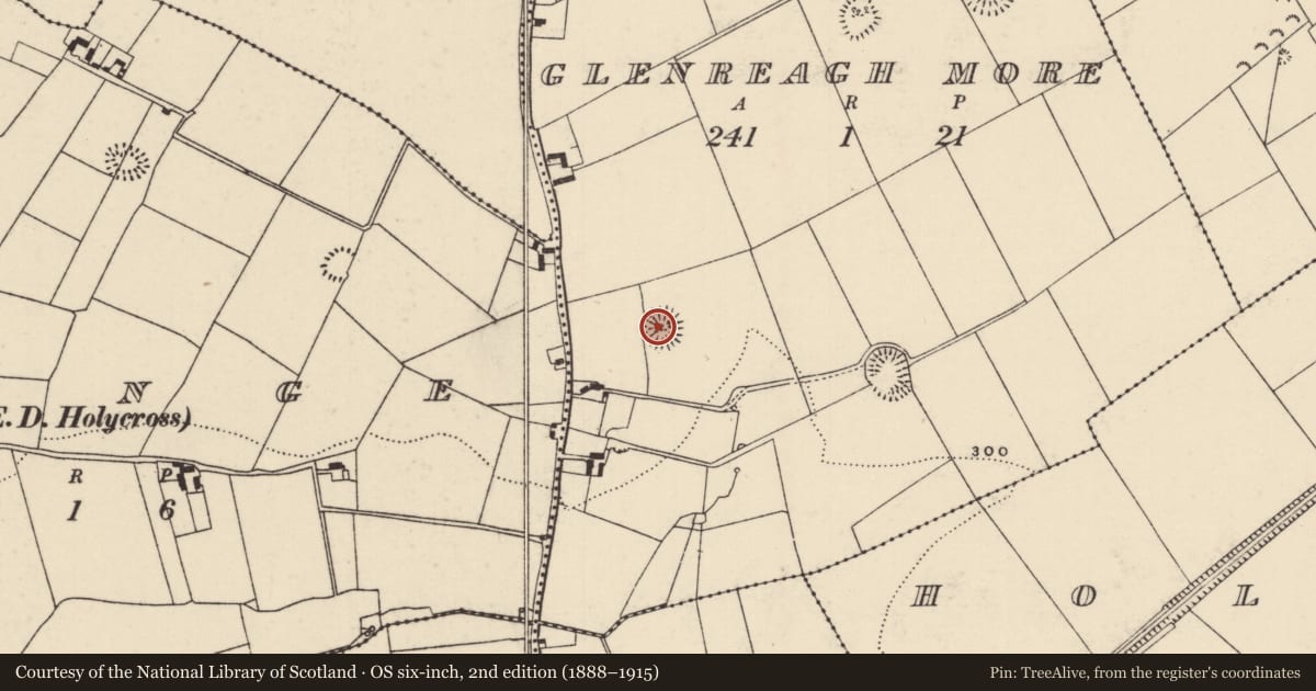 Ordnance Survey six-inch map, 2nd edition (1888–1915) covering the location of Ringfort - rath, Glenreagh More, County Tipperary North, with a pin at the register's coordinates