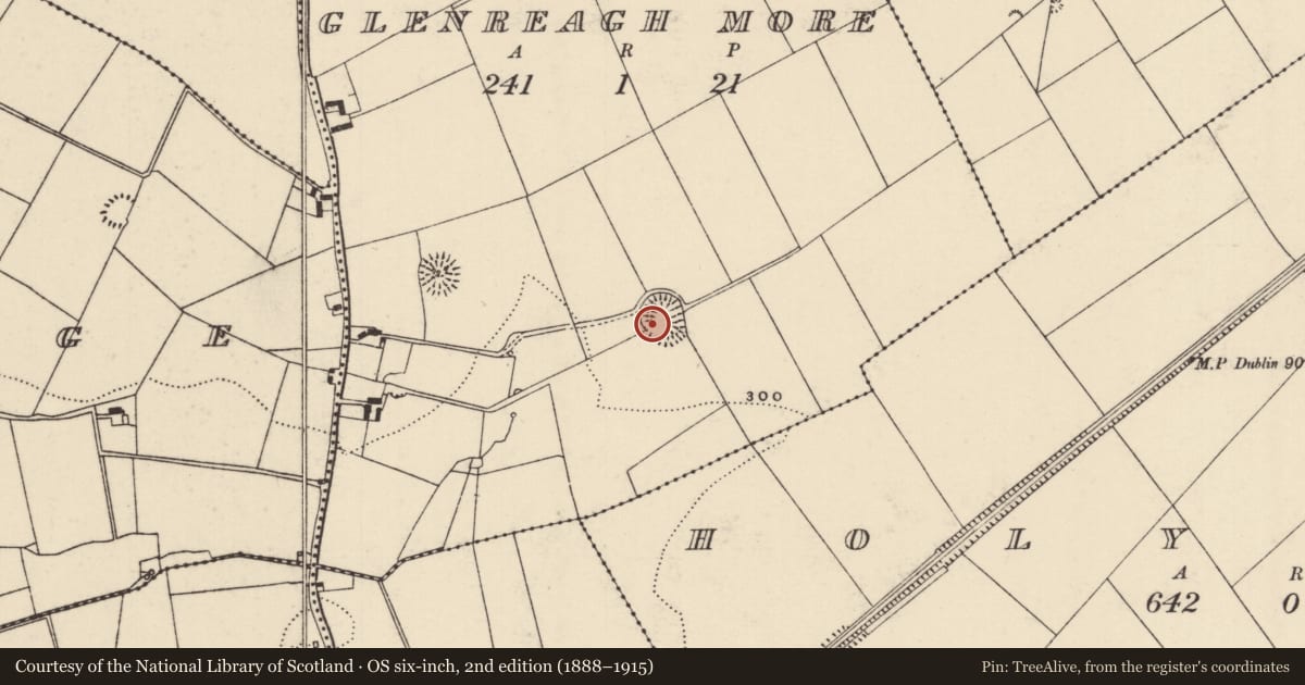 Ordnance Survey six-inch map, 2nd edition (1888–1915) covering the location of Ringfort - rath, Glenreagh More, County Tipperary North, with a pin at the register's coordinates