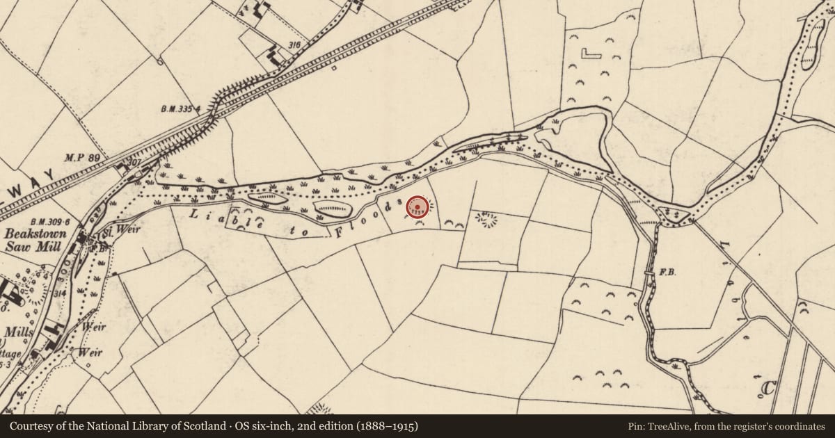 Ordnance Survey six-inch map, 2nd edition (1888–1915) covering the location of Enclosure, Fertiana, County Tipperary North, with a pin at the register's coordinates