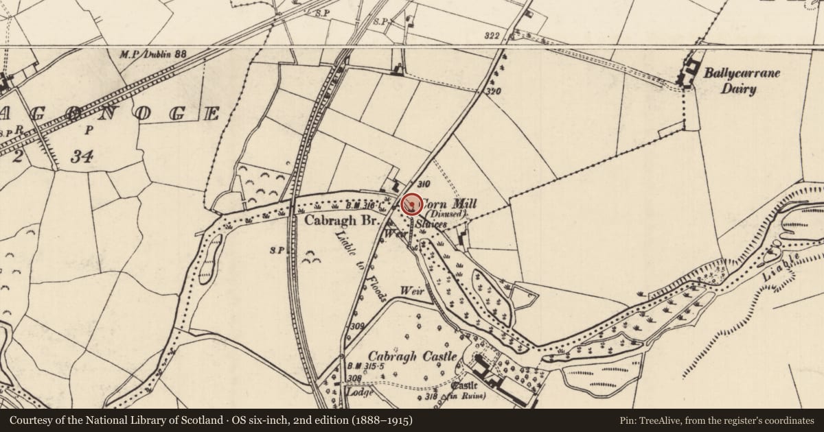 Ordnance Survey six-inch map, 2nd edition (1888–1915) covering the location of Water mill - unclassified, Commons (Thurles Par.), County Tipperary North, with a pin at the register's coordinates