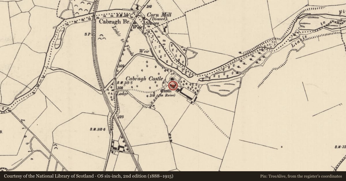 Ordnance Survey six-inch map, 2nd edition (1888–1915) covering the location of Castle - tower house, Cabragh, County Tipperary North, with a pin at the register's coordinates