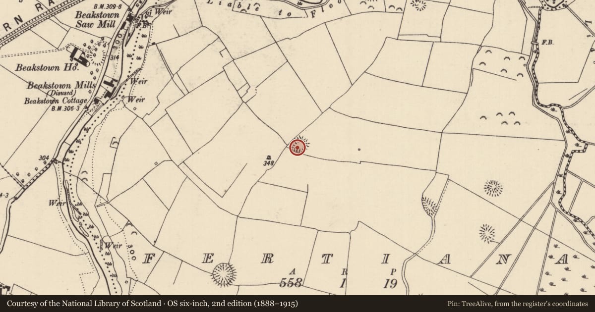 Ordnance Survey six-inch map, 2nd edition (1888–1915) covering the location of Ringfort - cashel, Fertiana, County Tipperary North, with a pin at the register's coordinates