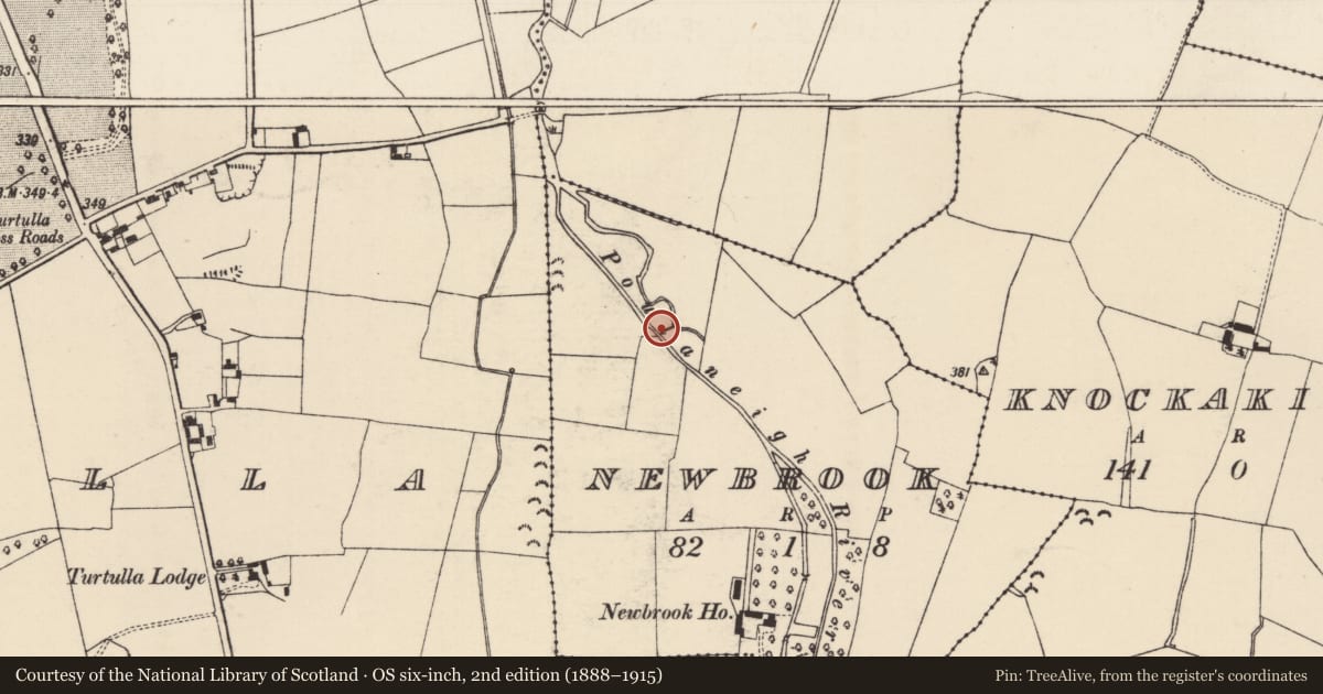 Ordnance Survey six-inch map, 2nd edition (1888–1915) covering the location of Mill - unclassified, Newbrook, County Tipperary North, with a pin at the register's coordinates