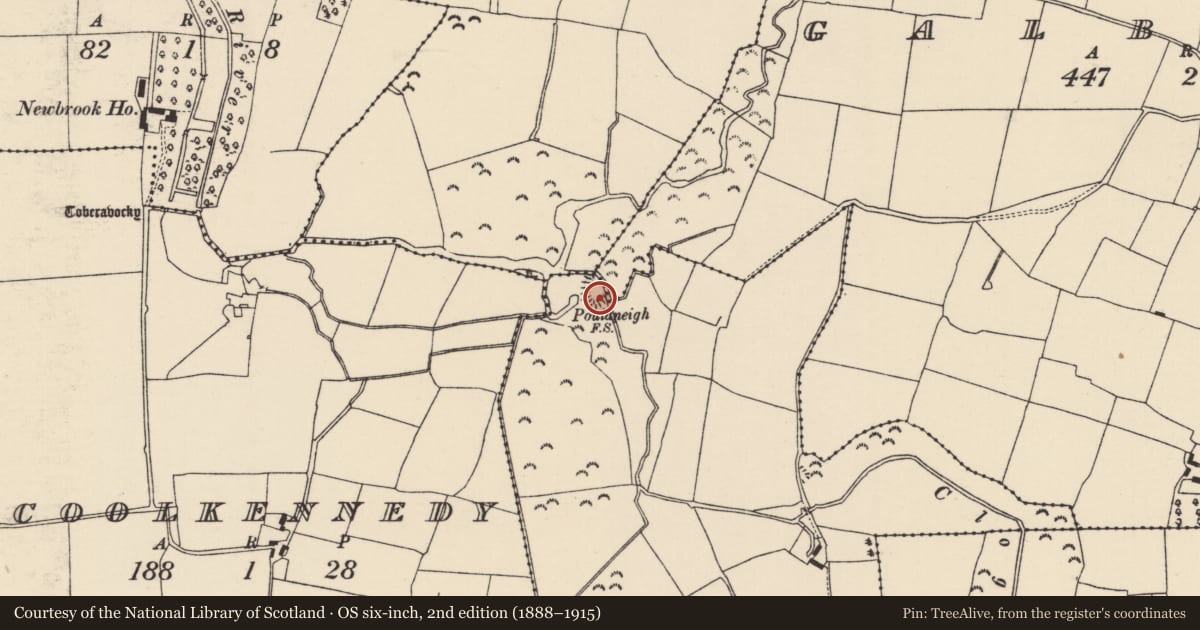 Ordnance Survey six-inch map, 2nd edition (1888–1915) covering the location of Ringfort - rath, Galbooly, Shanacloon (Galbooly Par.), County Tipperary North, with a pin at the register's coordinates