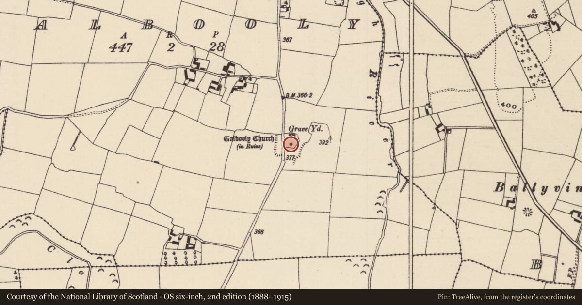 Ordnance Survey six-inch map, 2nd edition (1888–1915) covering the location of Graveyard, Galbooly, County Tipperary North, with a pin at the register's coordinates