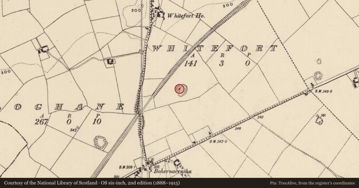Ordnance Survey six-inch map, 2nd edition (1888–1915) covering the location of Ringfort - rath, Whitefort, County Tipperary North, with a pin at the register's coordinates