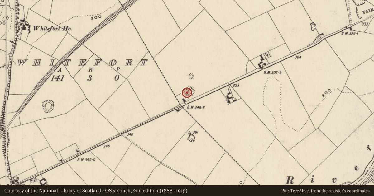 Ordnance Survey six-inch map, 2nd edition (1888–1915) covering the location of Ringfort - rath, Holycross, County Tipperary North, with a pin at the register's coordinates