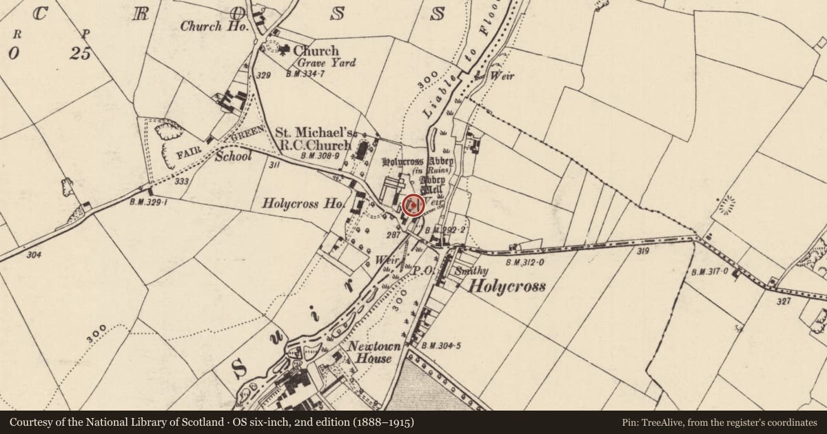 Ordnance Survey six-inch map, 2nd edition (1888–1915) covering the location of Historic town, Holycross, County Tipperary North, with a pin at the register's coordinates