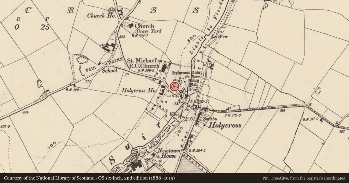 Ordnance Survey six-inch map, 2nd edition (1888–1915) covering the location of Religious house - Cistercian monks, Holycross, County Tipperary North, with a pin at the register's coordinates