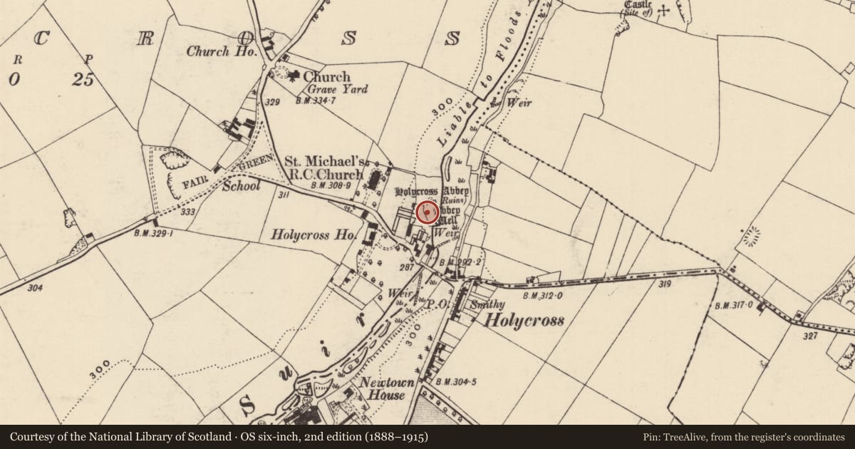 Ordnance Survey six-inch map, 2nd edition (1888–1915) covering the location of Ritual site - holy well, Holycross, County Tipperary North, with a pin at the register's coordinates