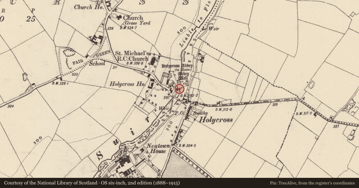 Ordnance Survey six-inch map, 2nd edition (1888–1915) covering the location of Weir - regulating, Holycross, County Tipperary North, with a pin at the register's coordinates