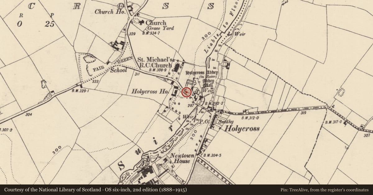 Ordnance Survey six-inch map, 2nd edition (1888–1915) covering the location of Graveslab, Holycross, County Tipperary North, with a pin at the register's coordinates
