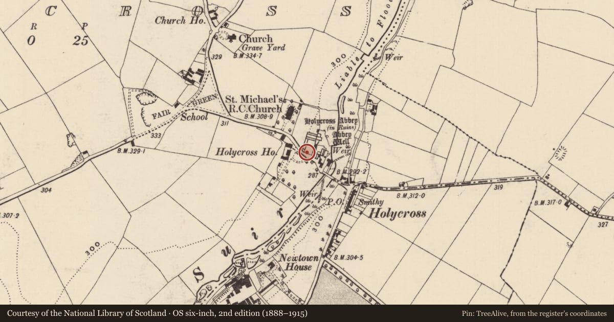 Ordnance Survey six-inch map, 2nd edition (1888–1915) covering the location of Graveslab, Holycross, County Tipperary North, with a pin at the register's coordinates