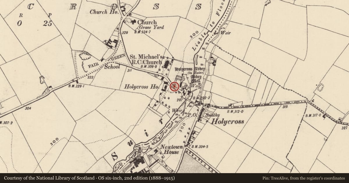 Ordnance Survey six-inch map, 2nd edition (1888–1915) covering the location of Graveslab, Holycross, County Tipperary North, with a pin at the register's coordinates