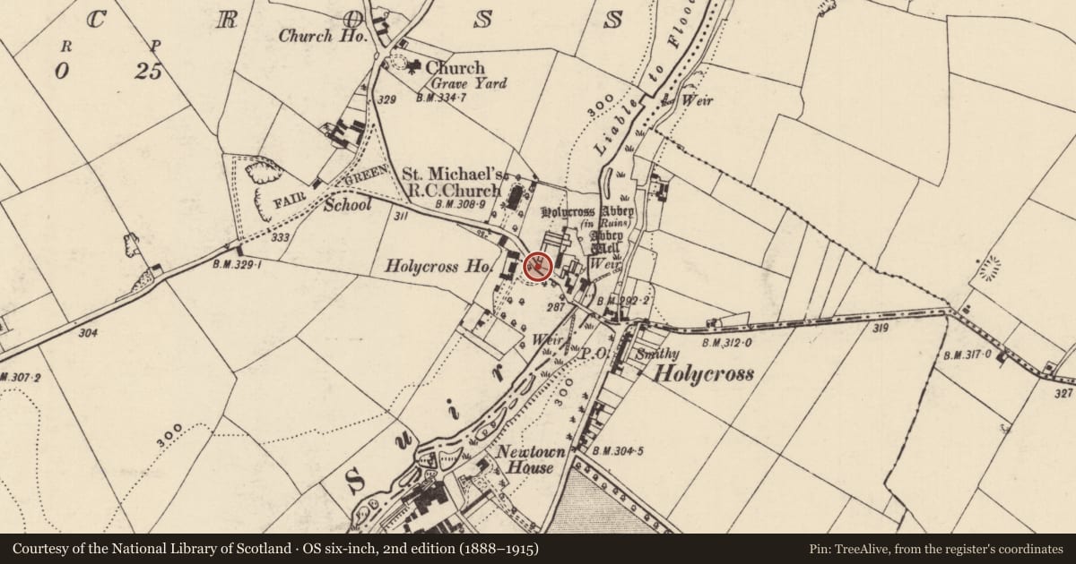 Ordnance Survey six-inch map, 2nd edition (1888–1915) covering the location of Graveslab, Holycross, County Tipperary North, with a pin at the register's coordinates