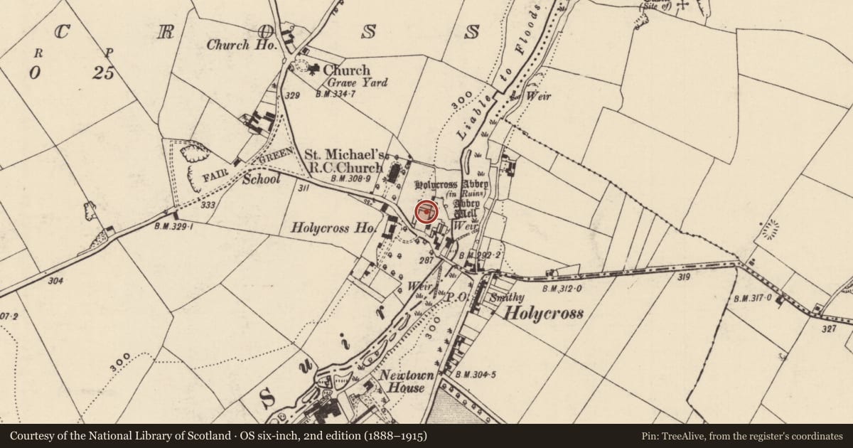 Ordnance Survey six-inch map, 2nd edition (1888–1915) covering the location of Graveslab, Holycross, County Tipperary North, with a pin at the register's coordinates