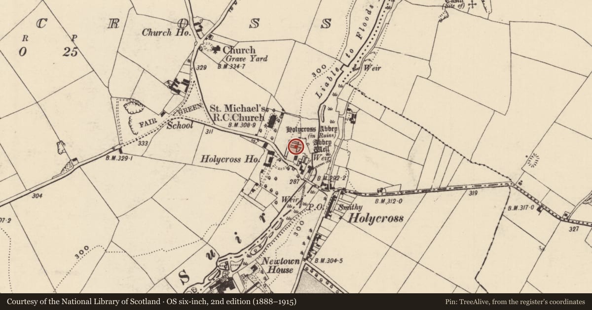 Ordnance Survey six-inch map, 2nd edition (1888–1915) covering the location of Graveslab, Holycross, County Tipperary North, with a pin at the register's coordinates