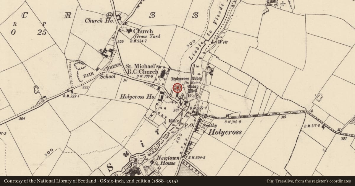 Ordnance Survey six-inch map, 2nd edition (1888–1915) covering the location of Graveslab, Holycross, County Tipperary North, with a pin at the register's coordinates