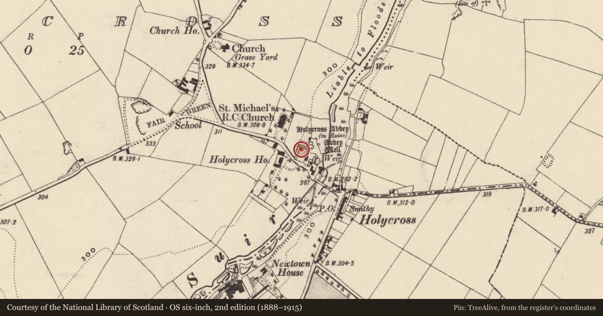Ordnance Survey six-inch map, 2nd edition (1888–1915) covering the location of Graveslab, Holycross, County Tipperary North, with a pin at the register's coordinates