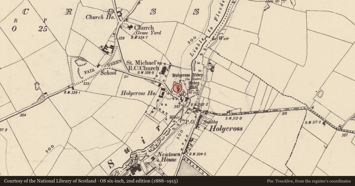 Ordnance Survey six-inch map, 2nd edition (1888–1915) covering the location of Graveslab, Holycross, County Tipperary North, with a pin at the register's coordinates