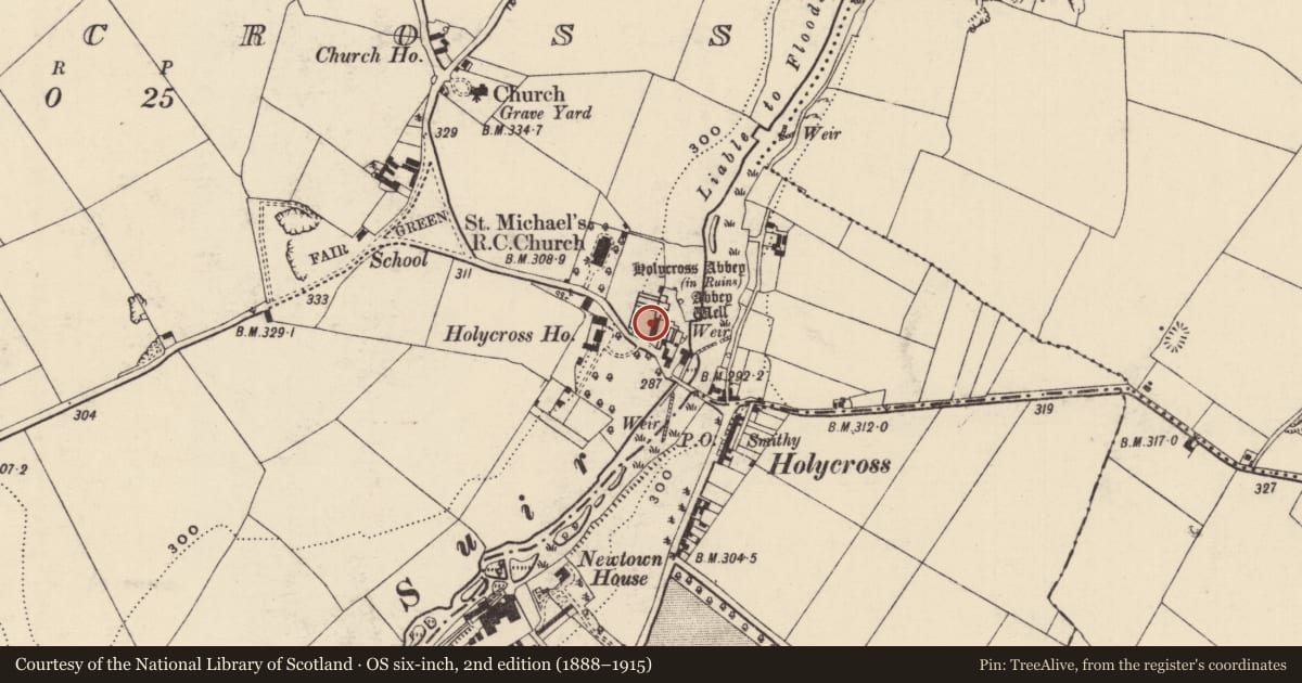 Ordnance Survey six-inch map, 2nd edition (1888–1915) covering the location of Graveslab, Holycross, County Tipperary North, with a pin at the register's coordinates