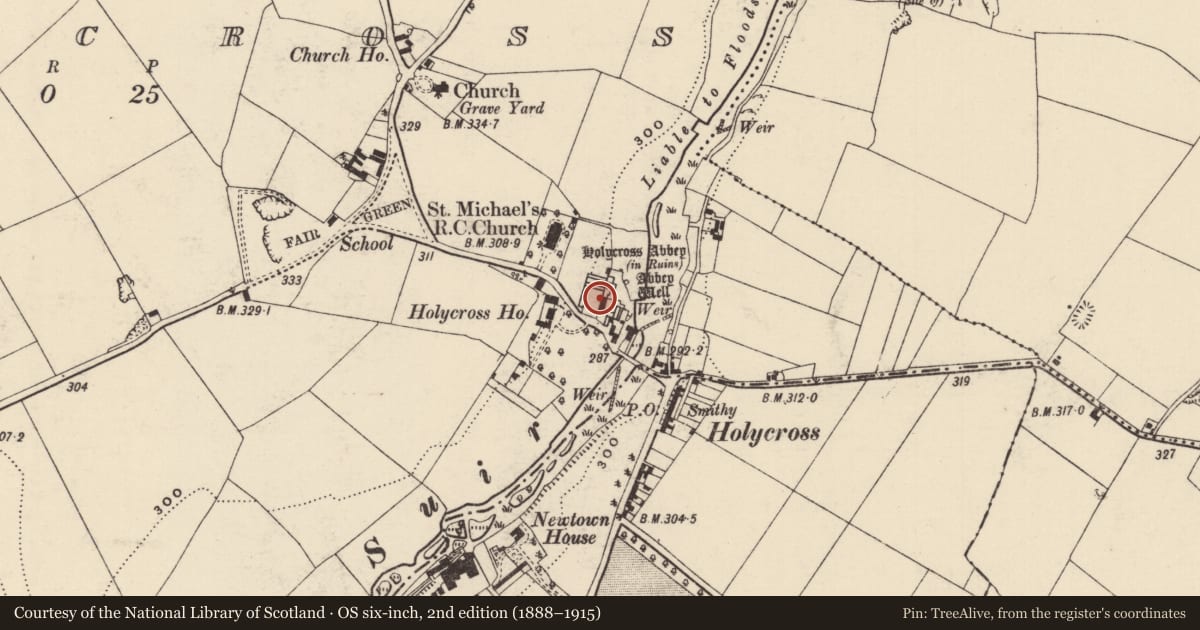 Ordnance Survey six-inch map, 2nd edition (1888–1915) covering the location of Graveslab, Holycross, County Tipperary North, with a pin at the register's coordinates