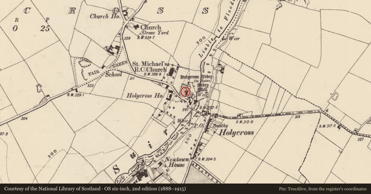 Ordnance Survey six-inch map, 2nd edition (1888–1915) covering the location of Graveslab, Holycross, County Tipperary North, with a pin at the register's coordinates
