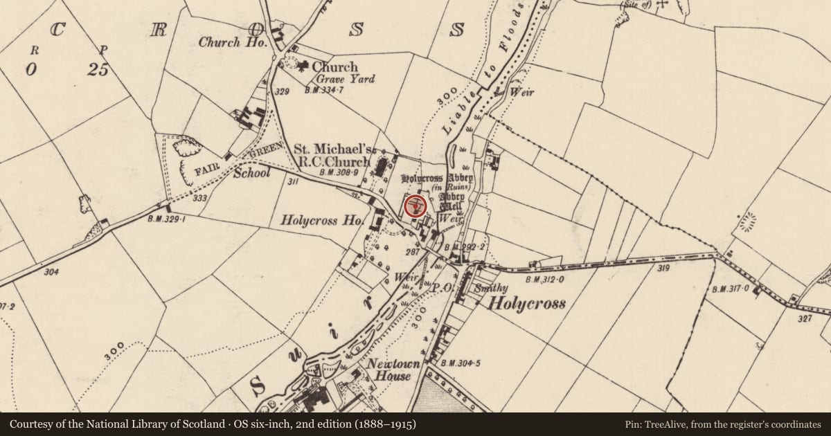 Ordnance Survey six-inch map, 2nd edition (1888–1915) covering the location of Graveslab, Holycross, County Tipperary North, with a pin at the register's coordinates