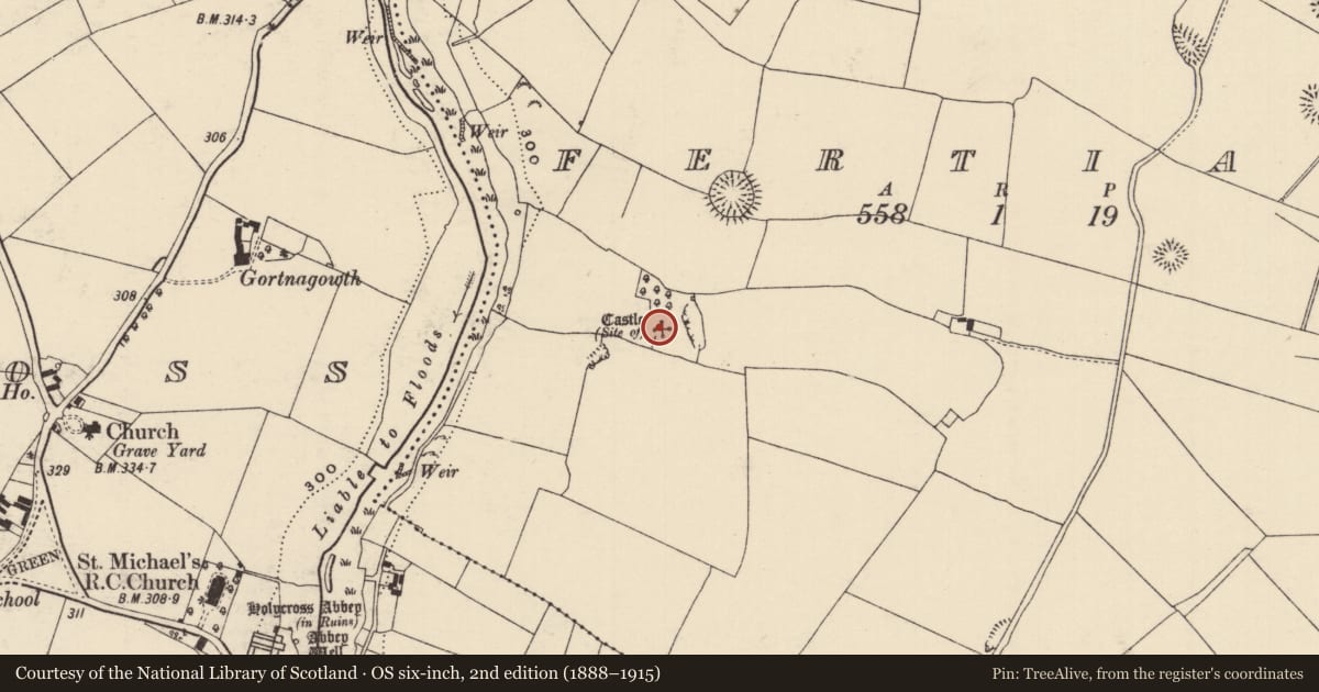 Ordnance Survey six-inch map, 2nd edition (1888–1915) covering the location of Castle - unclassified, Fertiana, County Tipperary North, with a pin at the register's coordinates