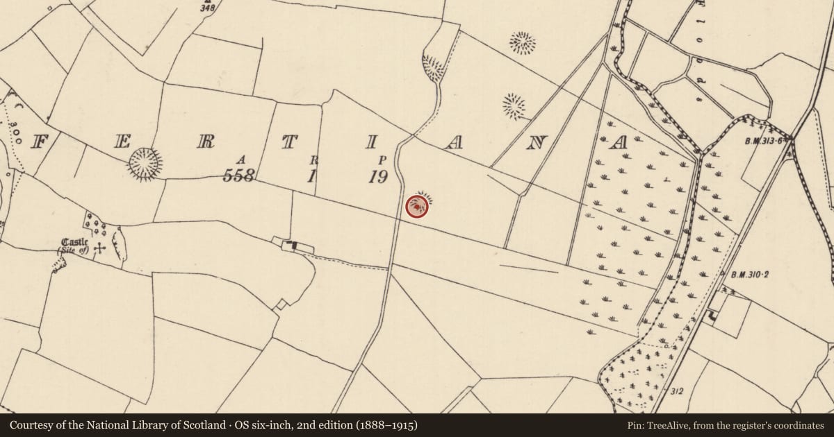 Ordnance Survey six-inch map, 2nd edition (1888–1915) covering the location of Moated site, Fertiana, County Tipperary North, with a pin at the register's coordinates