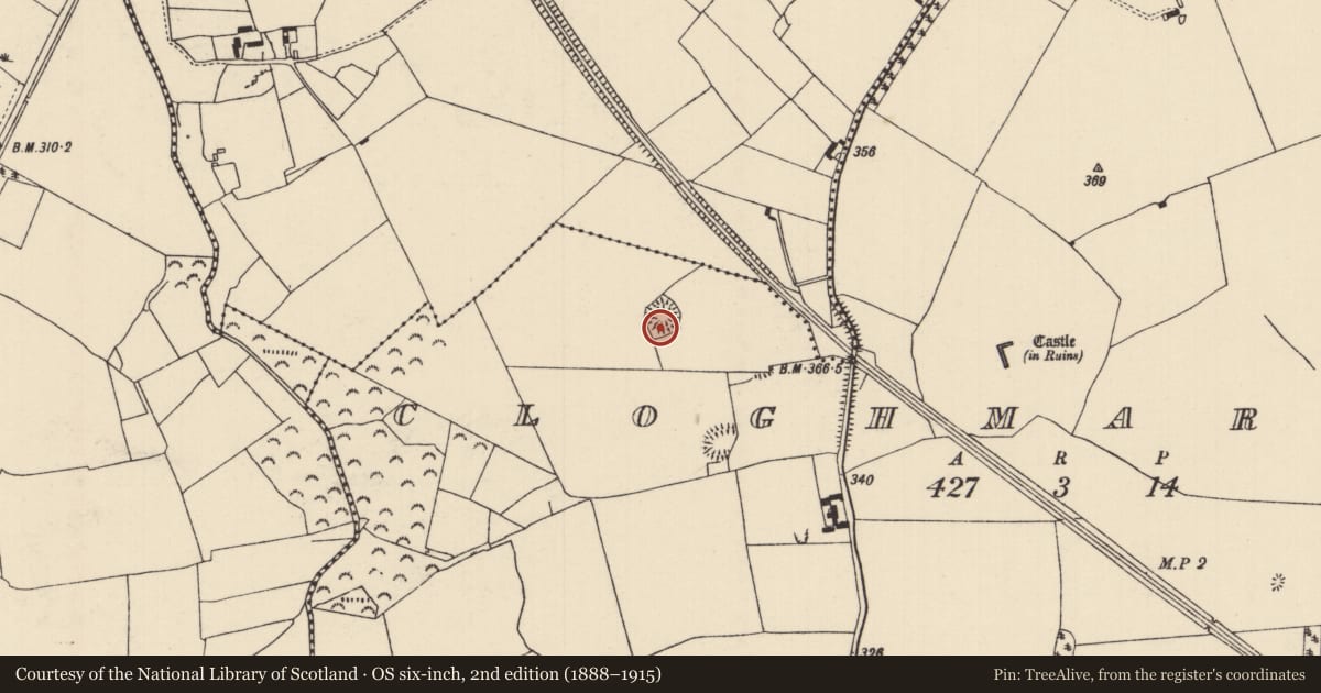 Ordnance Survey six-inch map, 2nd edition (1888–1915) covering the location of Ringfort - rath, Cloghmartin, County Tipperary North, with a pin at the register's coordinates