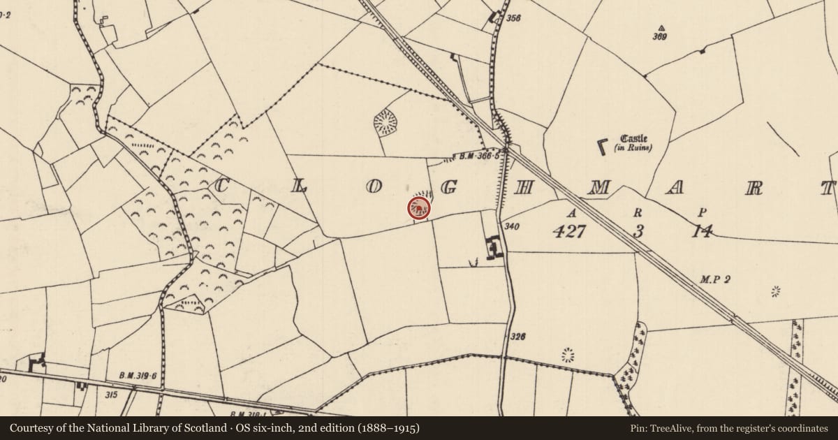 Ordnance Survey six-inch map, 2nd edition (1888–1915) covering the location of Earthwork, Cloghmartin, County Tipperary North, with a pin at the register's coordinates