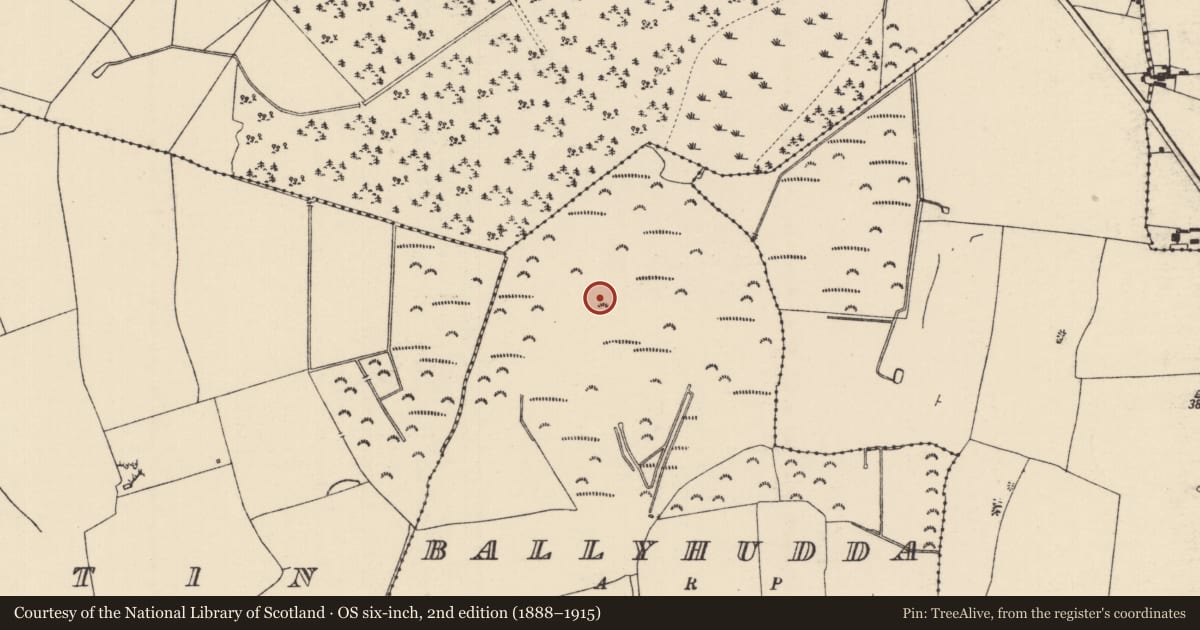 Ordnance Survey six-inch map, 2nd edition (1888–1915) covering the location of Earthwork, Ballyhudda, County Tipperary North, with a pin at the register's coordinates