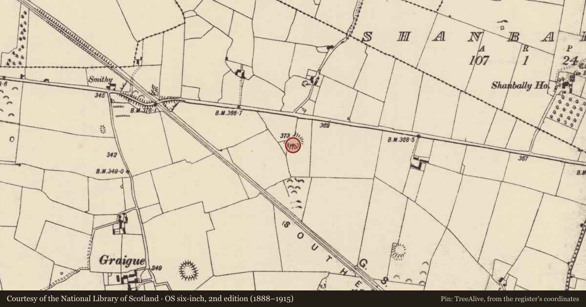 Ordnance Survey six-inch map, 2nd edition (1888–1915) covering the location of Ringfort - cashel, Graigue (Moycarky Par.), County Tipperary North, with a pin at the register's coordinates