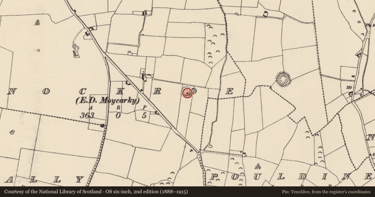 Ordnance Survey six-inch map, 2nd edition (1888–1915) covering the location of Ringfort - rath, Knockroe (Moycarky Par.), County Tipperary North, with a pin at the register's coordinates