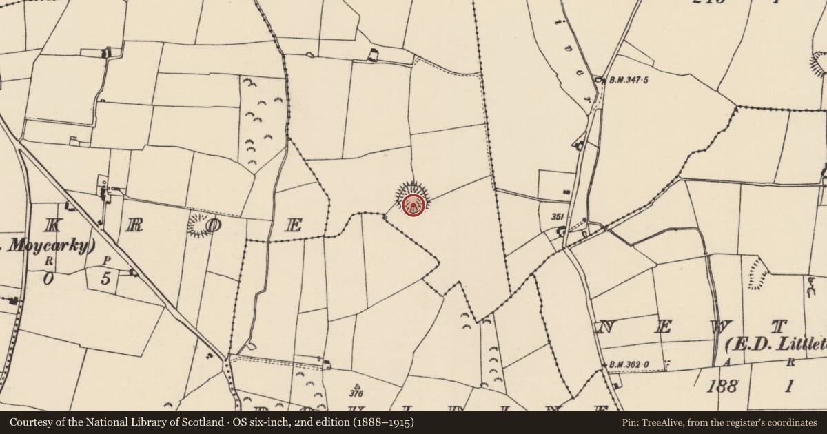 Ordnance Survey six-inch map, 2nd edition (1888–1915) covering the location of Ringfort - rath, Shanacloon (Galbooly Par.), County Tipperary North, with a pin at the register's coordinates
