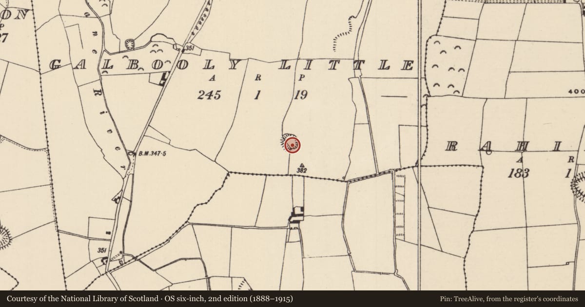 Ordnance Survey six-inch map, 2nd edition (1888–1915) covering the location of Ringfort - rath, Galbooly Little, County Tipperary North, with a pin at the register's coordinates