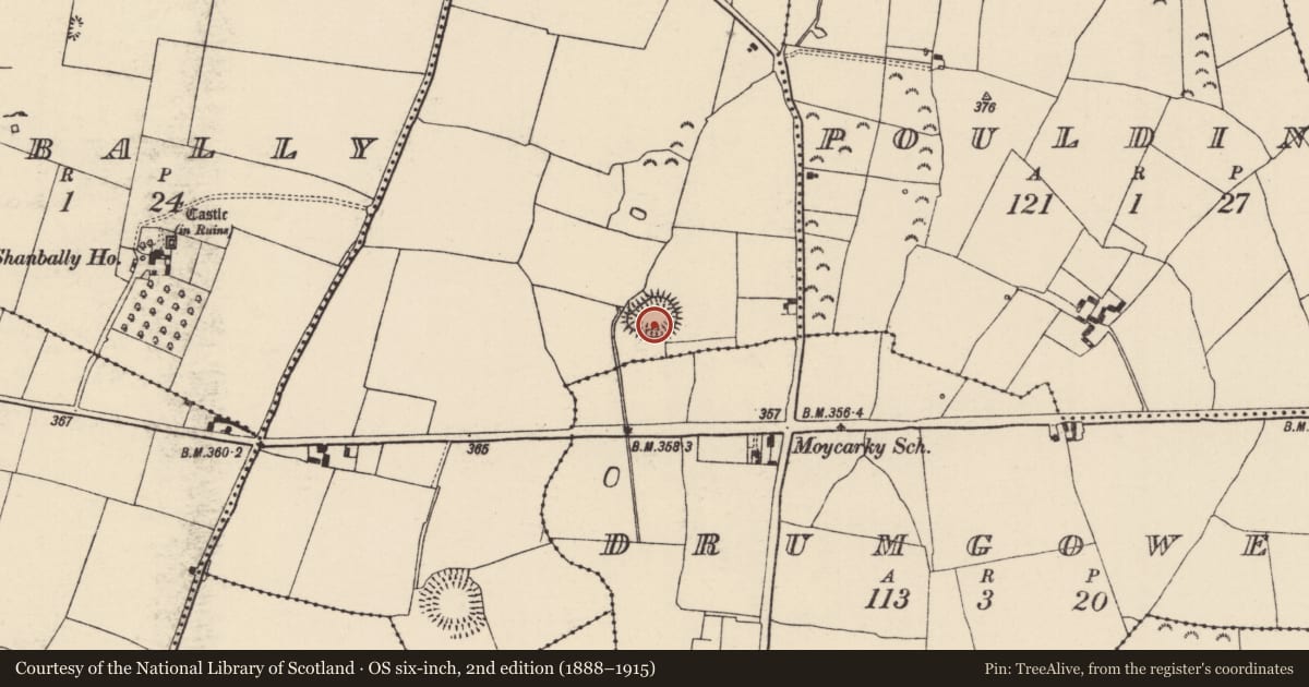 Ordnance Survey six-inch map, 2nd edition (1888–1915) covering the location of Ringfort - rath, Knockroe (Moycarky Par.), County Tipperary North, with a pin at the register's coordinates