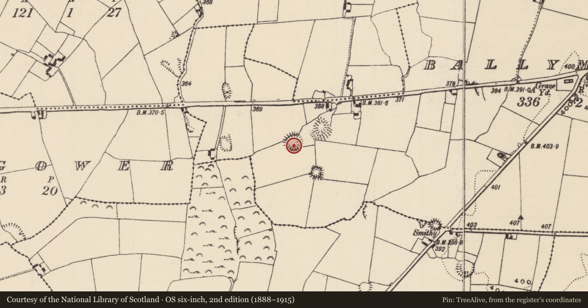 Ordnance Survey six-inch map, 2nd edition (1888–1915) covering the location of Ringfort - rath, Ballymurreen, County Tipperary North, with a pin at the register's coordinates