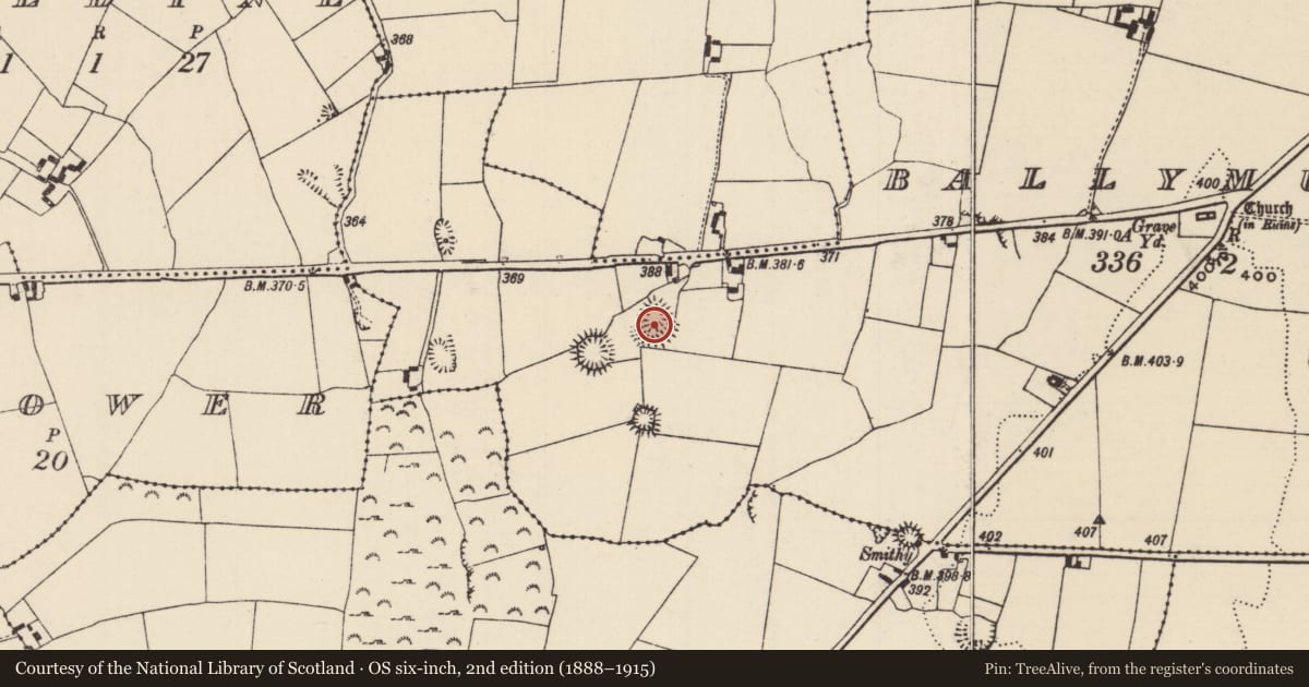 Ordnance Survey six-inch map, 2nd edition (1888–1915) covering the location of Ringfort - rath, Ballymurreen, County Tipperary North, with a pin at the register's coordinates