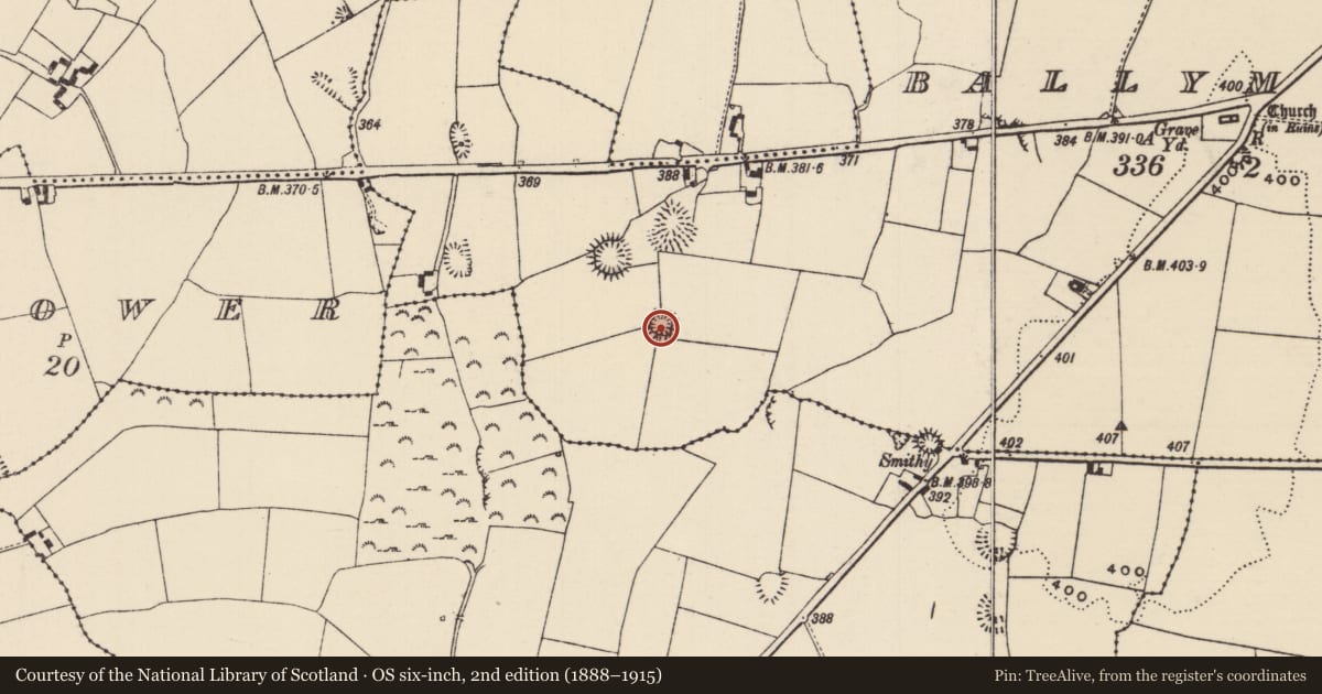 Ordnance Survey six-inch map, 2nd edition (1888–1915) covering the location of Enclosure, Ballymurreen, County Tipperary North, with a pin at the register's coordinates