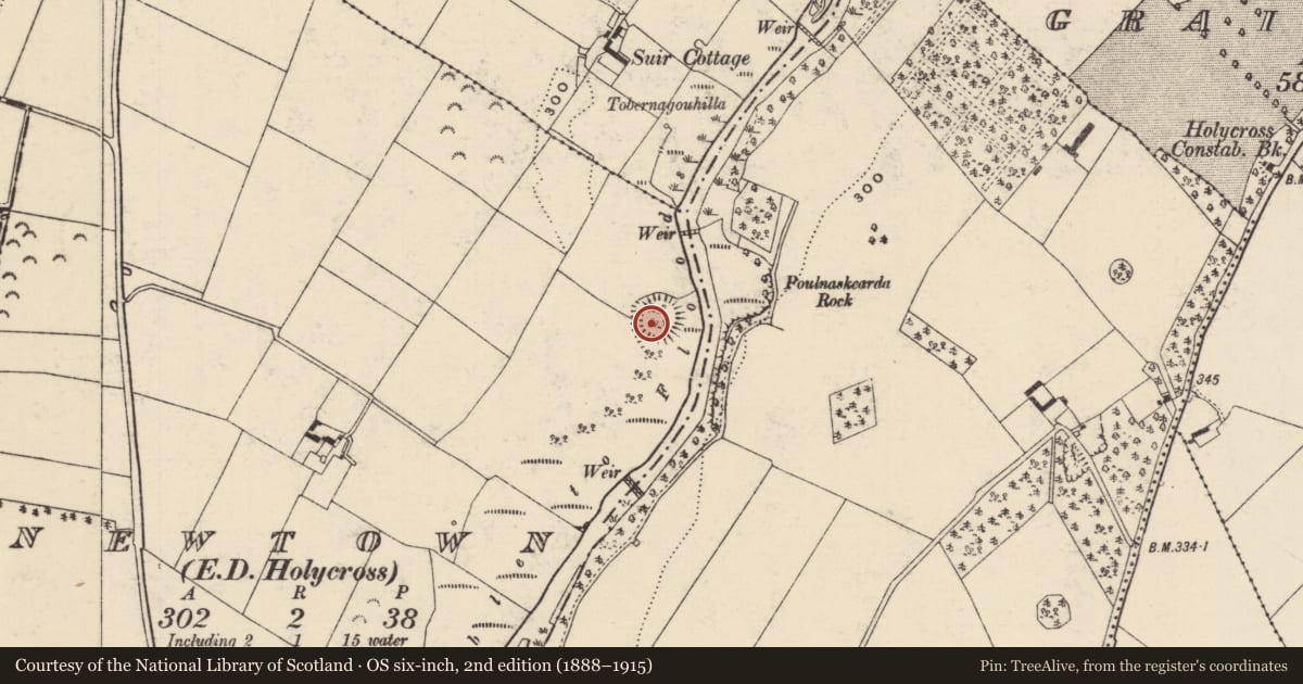 Ordnance Survey six-inch map, 2nd edition (1888–1915) covering the location of Castle - ringwork, Newtown (Holycross Par.), County Tipperary North, with a pin at the register's coordinates