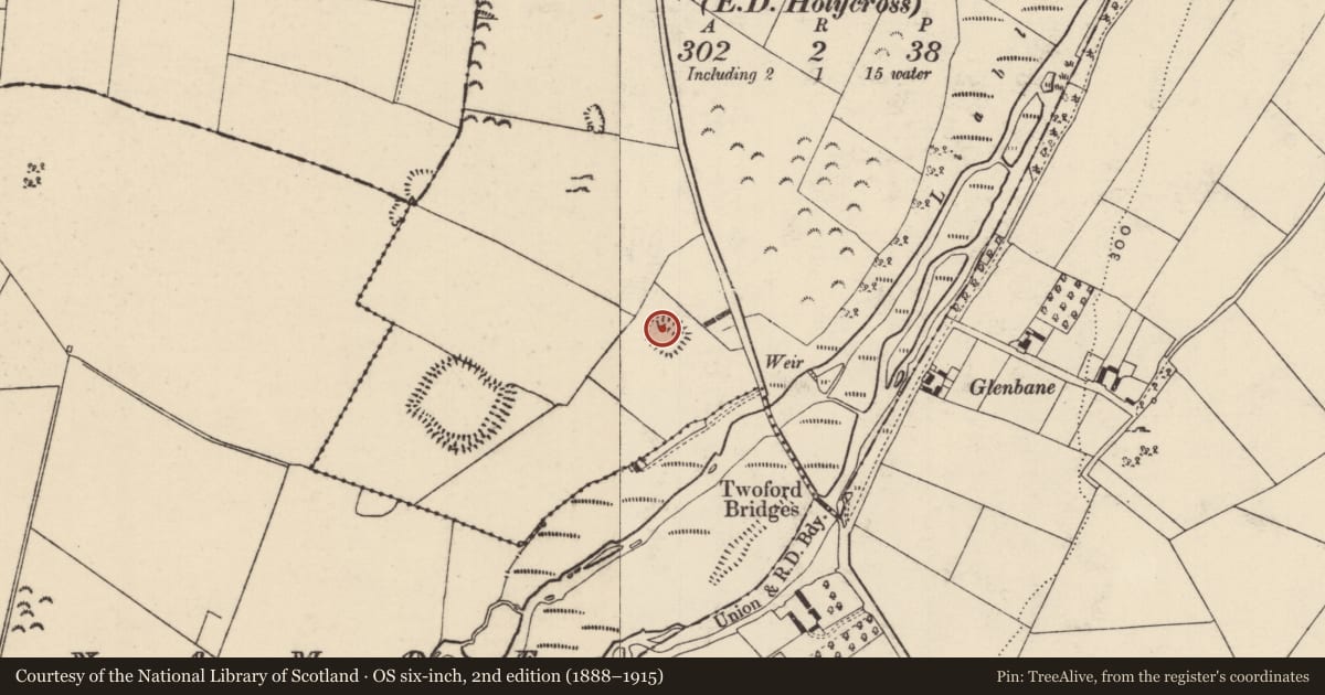 Ordnance Survey six-inch map, 2nd edition (1888–1915) covering the location of Enclosure, Newtown (Holycross Par.), County Tipperary North, with a pin at the register's coordinates